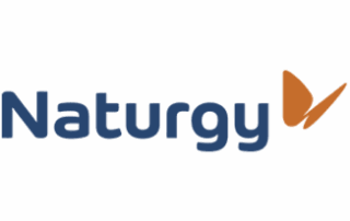 Logo Naturgy